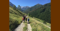 Album 7 foto4